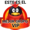 Pingüinito 9