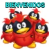 Pingüinito 11