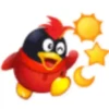 Pingüinito 12