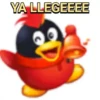 Pingüinito 13
