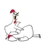 🐔CHICKEN5🐔 7