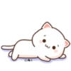 ꧁Mochi Peɑch Cɑtmov #8꧂ 8