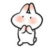 SOFT RABBIT MOV 5