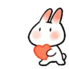 SOFT RABBIT MOV 6