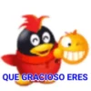 Pingüinito 17