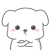 Lovely dogs 5