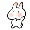 SOFT RABBIT MOV 12