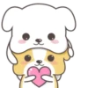 Lovely dogs 10