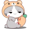 🐱 Grey cat 5 mov 🐱 8
