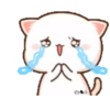 ꧁Mochi Peɑch Cɑtmov #8꧂ 14
