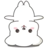 Lovely dogs 13