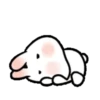 SOFT RABBIT MOV 16