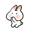 SOFT RABBIT MOV 17