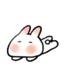 SOFT RABBIT MOV 19