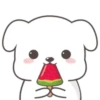 Lovely dogs 16