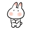 SOFT RABBIT MOV 20