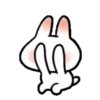 SOFT RABBIT MOV 21