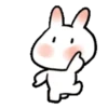 SOFT RABBIT MOV 22
