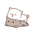 ꧁Mochi Peɑch Cɑtmov #8꧂ 21