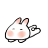 SOFT RABBIT MOV 23
