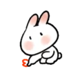 SOFT RABBIT MOV 24