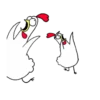🐔CHICKEN5🐔 25