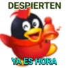 Pingüinito 25
