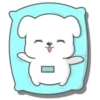 Lovely dogs 19
