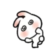 SOFT RABBIT MOV 25