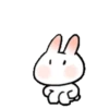 SOFT RABBIT MOV 26