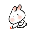 SOFT RABBIT MOV 27