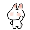 SOFT RABBIT MOV 29
