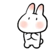 SOFT RABBIT MOV 30