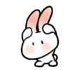 SOFT RABBIT MOV 31
