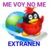 Pingüinito 30