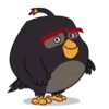 Angry Birds 5