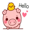 Pequeno porco 5