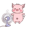 Pequeno porco 6