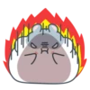 Hamster cute mov 6