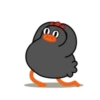 Galinha dançando 6