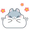 Hamster cute mov 10