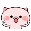 Pequeno porco 9