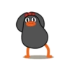 Galinha dançando 8