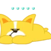 🐶PERRITO AMARILLO🌟💛 9