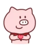 Pequeno porco 13