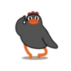 Galinha dançando 10