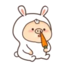 Pequeno porco 17
