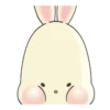 Osito tierno 18