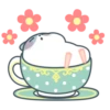 Hamster cute mov 24