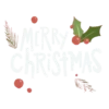 Merry Christmas  MOV 5
